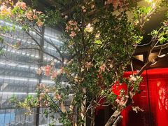 -星·South Beauty·俏江南(国贸店)
