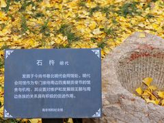 -郑和公园