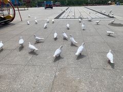 -华夏文旅海洋公园