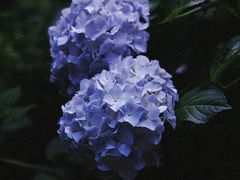 -常州古运河南大街文化旅游区-人民公园