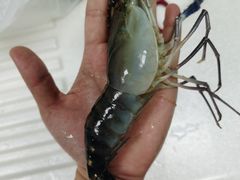-盒马鲜生(丁香国际店)