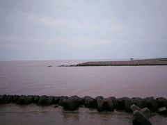 -南汇嘴观海公园