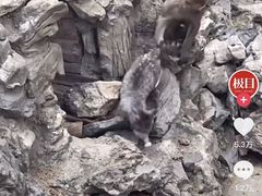 -昆明动物园