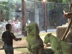 -清迈夜间动物园