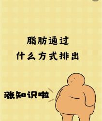 -Fundi张玉珊修身堂·indiba·BTL科技瘦身