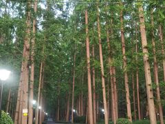 -上海怡沁园度假酒店