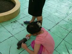 -广州花之恋城堡酒店