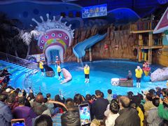 -烟台海昌鲸鲨海洋公园