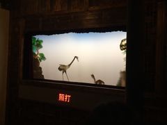 表演-乌镇东栅景区-应家桥皮影戏馆