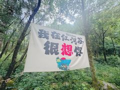 -陕西省红河谷森林公园