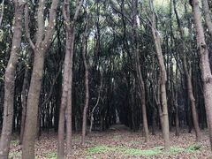 -同里国家湿地公园