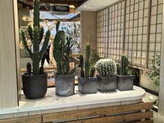 -蜜桃餐厅·伴山(湖滨商业街店)