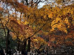 -虞山风景区