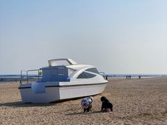 -巧克力渔家.小船海鲜胶东菜(万平口店)