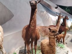 -长江文明馆