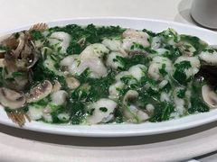 -蝶园·装修中(BFC外滩金融中心店)