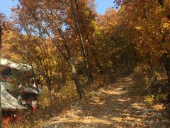 -九鼎铁刹山风景区