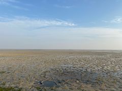 -北海金海湾红树林生态旅游区