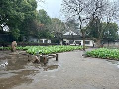 -绍兴鲁迅故里·沈园景区