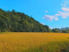 -贵阳市花溪国家城市湿地公园