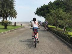 -大湾区中央湿地公园