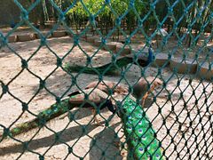 -兰陵国家农业公园