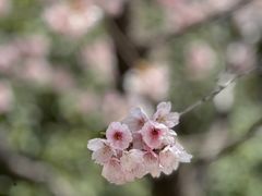 -静安雕塑公园