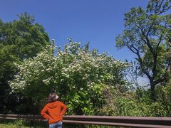 -宝界山林公园