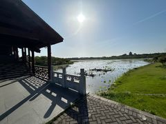 -上海海湾国家森林公园