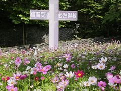 -美丽洲堂