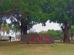 -万绿园