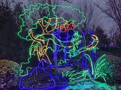 -南宫五洲植物乐园