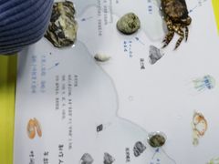 -沈阳海洋探索中心