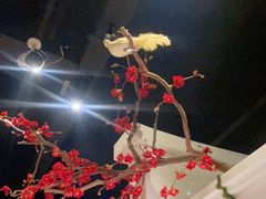 -春天来了(印象新天地店)