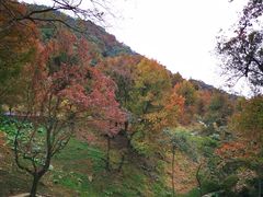 -广州市石门国家森林公园