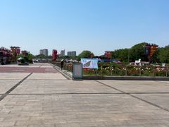 -曹州牡丹园