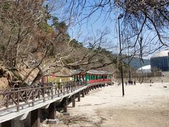 -平湖九龙山乐满地水上乐园