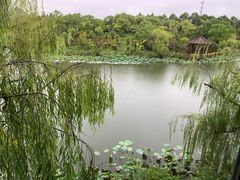 -上海怡沁园度假酒店