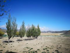 -新疆天山野生动物园