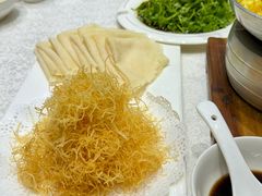 -丁老爷子苏香圆