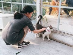 -小时光咖啡馆(北锣鼓巷店)