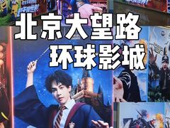 -大望路(地铁站)