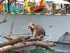 -西霞口神雕山野生动物世界