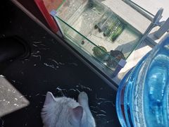 -M.S拳击泰拳馆(大学路店)