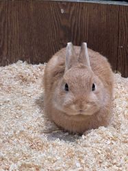 -Zoolung Zoolung动物主题公园(海信广场店)