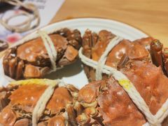 -贵木日本料理·铁板烧(新地假日广场店)