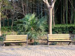 -苏州河梦清园环保主题公园