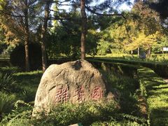 -黄村公园