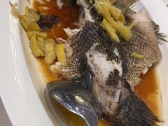 拍姜花雕蒸笋壳鱼-万龙洲海鲜(大兴绿地缤纷城店)