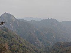 -大岭沟猕猴桃谷风景区